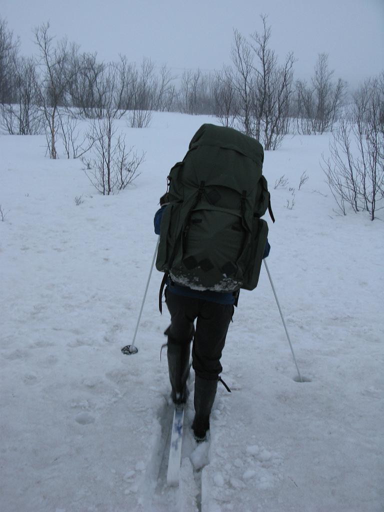 IMG_0131.jpg - Jari veti alussa letkaa. Keli oli tosi ikävä, kun suksen kärjet tahtoivat sukeltaa ja niitä oli raskas nostella. Onneksi muutama vanha kelkanjälki auttoi vähäsen.